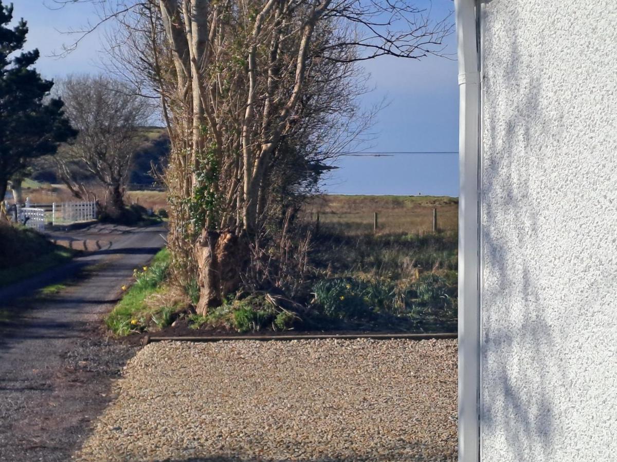 Blaneys Coastal Cottage Mountcharles المظهر الخارجي الصورة